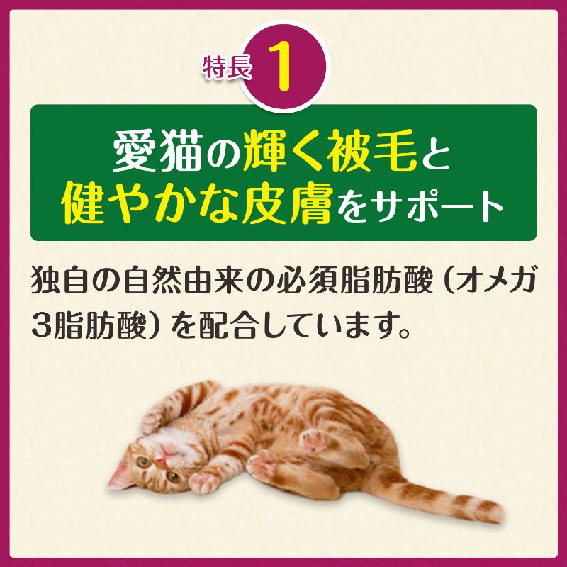  猫用グリニーズ 皮膚被毛ケア サーモン味 