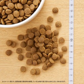 ニュートロ 　ナチュラル チョイス キャット 室内猫用 アダルト チキン 