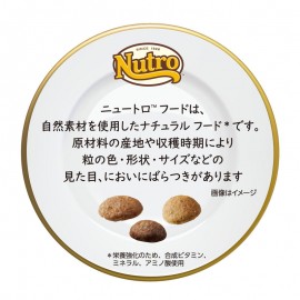 ニュートロ　 ナチュラル チョイス キャット 室内で暮らす子猫用 チキン 