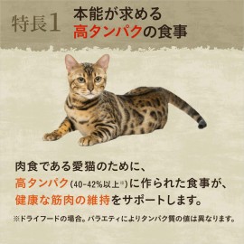 ニュートロ　キャット ワイルド レシピ アダルト サーモン 成猫用 